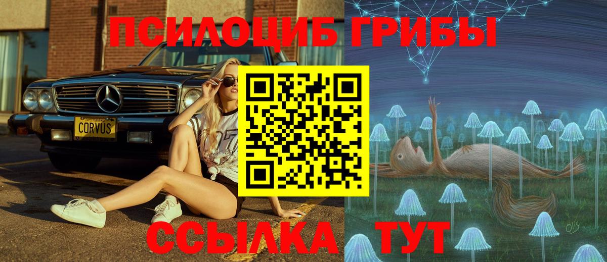 Псилоцибиновые грибы Cubensis  Вход с VPN  Галлюциногенные грибы Psilocybe  Мытищи 